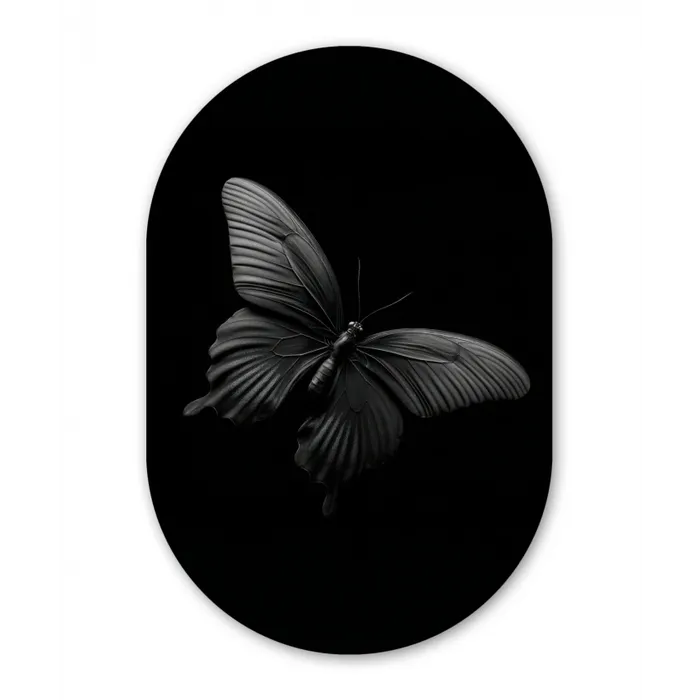 Vlinder - Zwart - Insect - Dieren Wandcirkel Ovaal Glas middel -3d