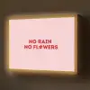 No rain no flowers - Minimalistisch - Roze - Bloem Light Box met batterij (Wandlamp) middel -z3d_website