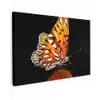 Vlinder op bloem Tuinposter op houten frame 2 cm dik klein -3d