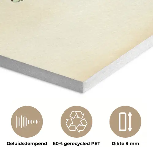 Schubben - Vis - Mint - Minimalistisch PET vilt klein -closeup_NL