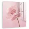 Bloem - Pioenroos - Roze plexiglas 5mm klein -zzzproduct_nieuw