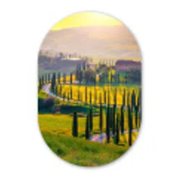 Gras - Zon - Heuvel - Landschap Wandcirkel Ovaal Forex klein -3d