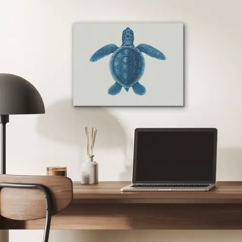 Schildpad - Blauw - Schild PET vilt klein -sfeer5