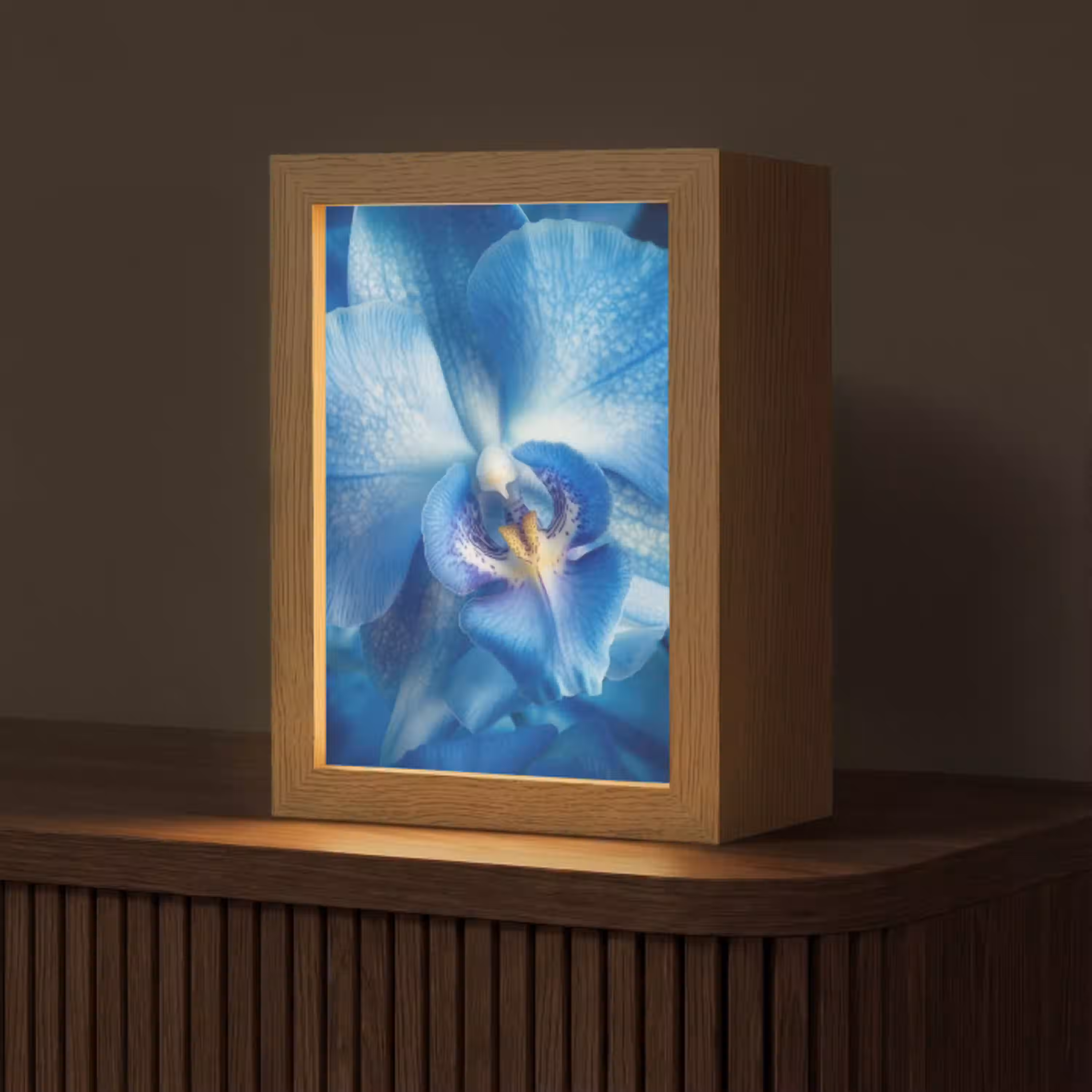 Blauw - Orchidee - Elegeant Light Box met kabel (Tafellamp) klein -z3d_website