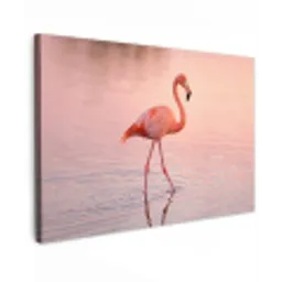 Flamingo - Water - Roze canvas 2cm klein -z3d