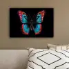 Vlinder - Kleuren - Dier - Zwart canvas 2cm klein -sfeer3