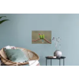 Papagaai - Tak - Natuur - Kleurrijk Muursticker klein -plant
