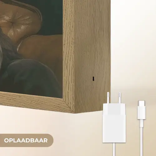 Panda - Hoed - Bril - Pak Light Box met batterij (Wandlamp) middel -USP_websiteoplaadbaarNL