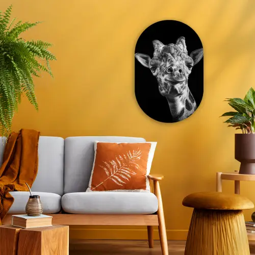 Giraffe - Dier - Zwart - Wit Wandcirkel Ovaal Forex klein -sfeer4