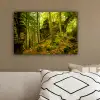 Bomen - Steen - Bos - Natuur - Planten canvas 2cm klein -sfeer3