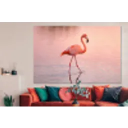 Flamingo - Water - Roze forex 5mm xxl -woonkamer
