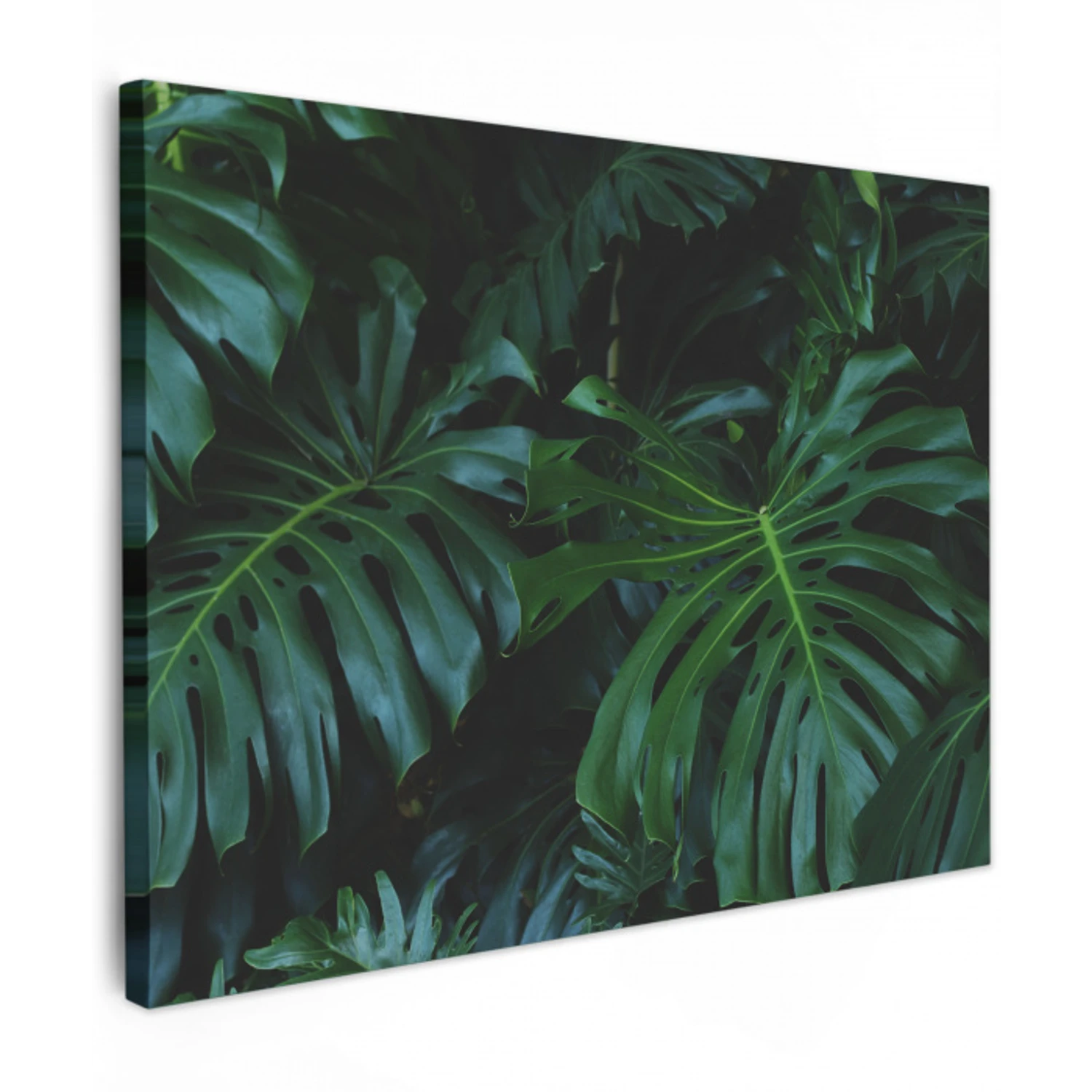 Bladeren - Tropisch - Monstera - Jungle Tuinposter op houten frame 2 cm dik klein -3d