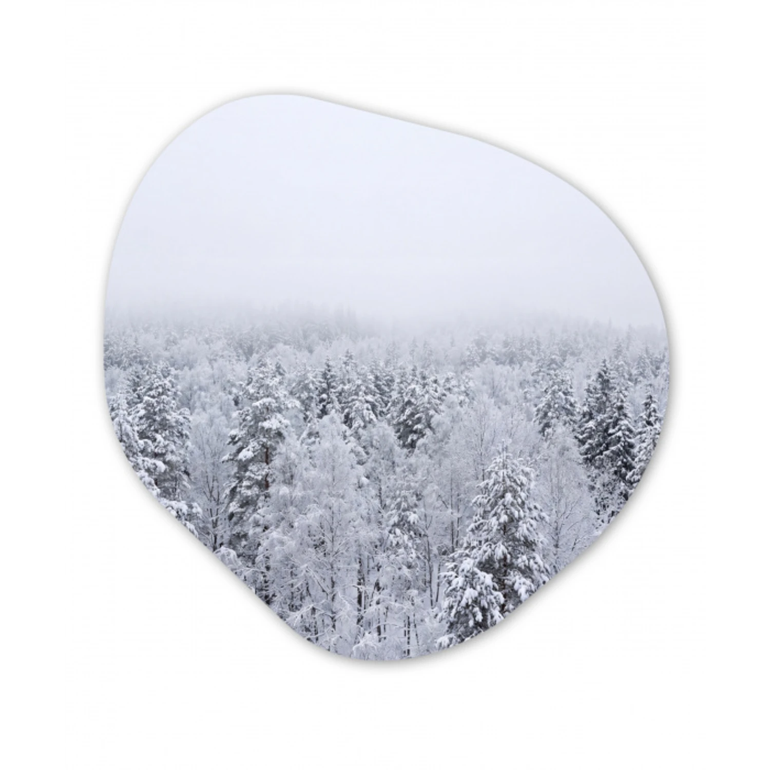 Bos - Sneeuw - Winter - Natuur - Wit Wandcirkel Organisch Forex 3mm klein -3d