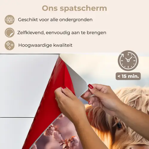 Schotse hooglander - Lente - Hooglanden keuken achterwand spatscherm klein -spatscherm_NL