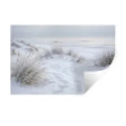 Duinen - Sneeuw - Strand - Winter - Serene Muursticker klein -3d