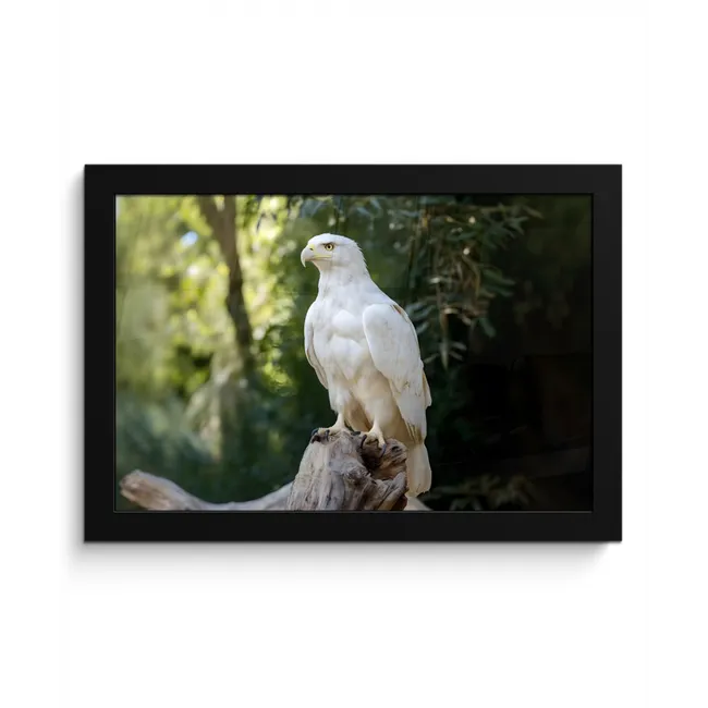 Arend - Hout - Wit - Planten fotolijst zwart zonder passe partout klein -3d