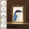 Illustratie - Blauw - Vogel Light Box met kabel (Tafellamp) klein -USP_NL