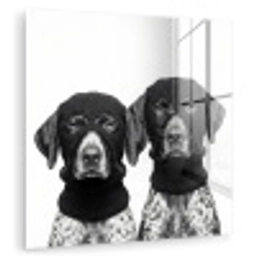 Honden - Bivakmuts - Zwart - wit plexiglas 5mm klein -zzzproduct_nieuw