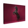 Hengst - Steigert - Rood Tuinposter op houten frame 2 cm dik klein -3d