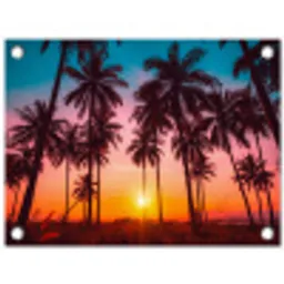 Palmboom - Zonsondergang - Horizon - Strand - Oranje - Roze tuinposter los doek klein -3d