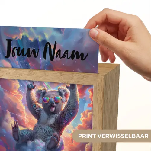 Koala - Dier - Zonnebril - Wolken Light Box met kabel (Kinderlampje) klein -USP_websiteprintNL