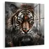 Tijger - Dieren - Portret - Luxe - Zwart plexiglas 5mm klein -zzzproduct_nieuw