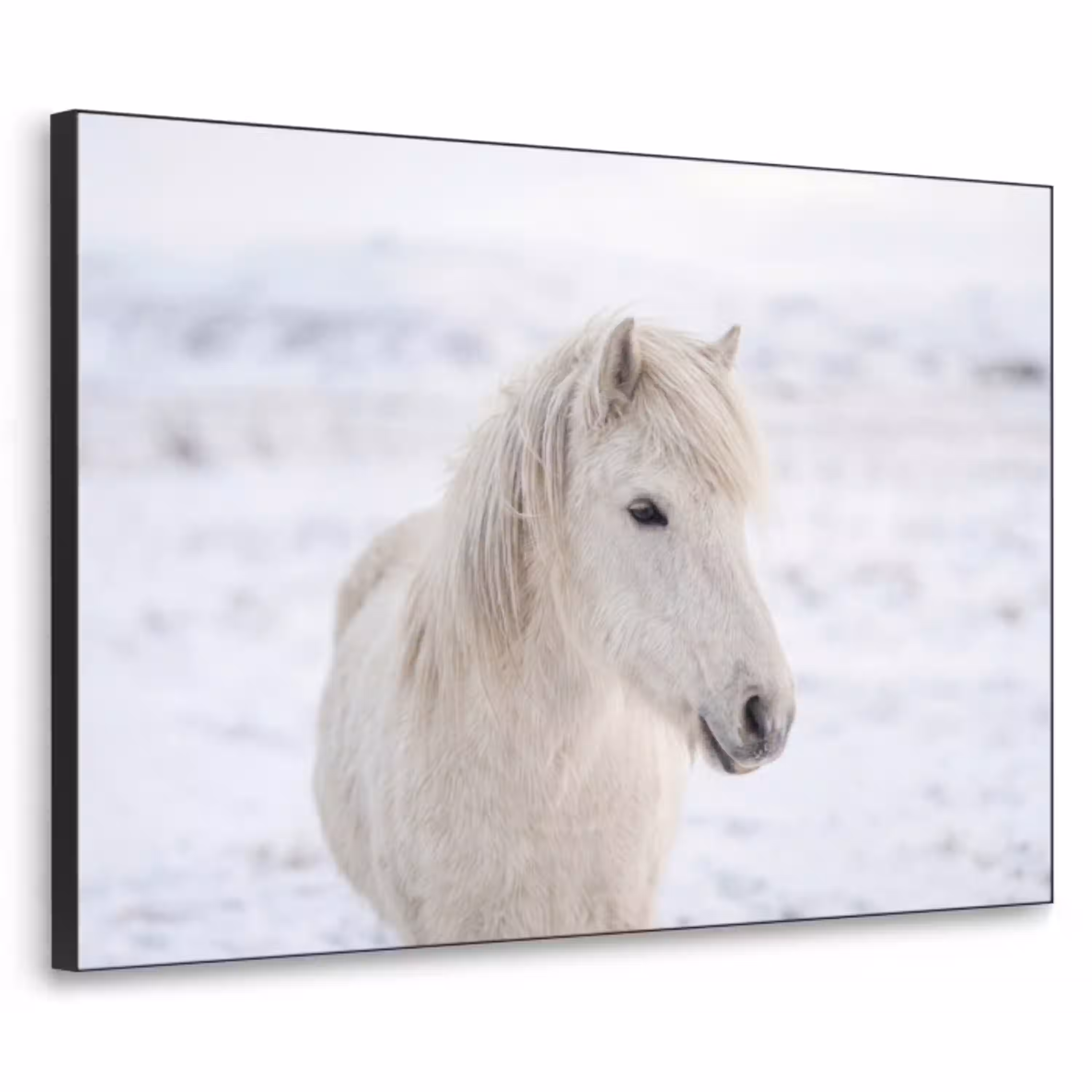 Paard - Kop - Winter - Dieren - Wit Textielframe zwart klein -3d