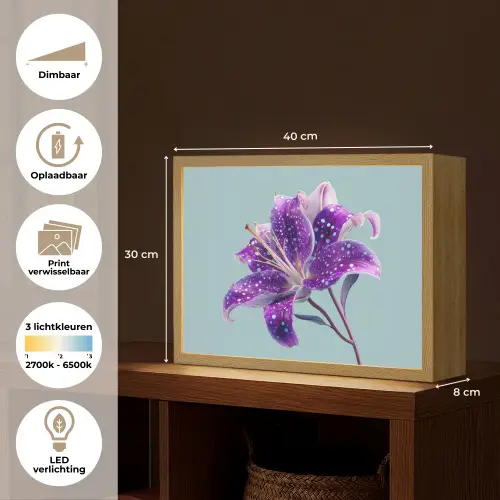 Lelie - Bloem - Paars - Stippen Light Box met batterij (Wandlamp) middel -USP_websiteoverzichtNL