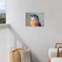 Kleurrijk - Vogeltje - Veren - Blauw tuinposter los doek klein -sfeer8