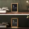 Vlinder - Zwart - Insect - Dieren Light Box met kabel (Tafellamp) klein -sfeer3
