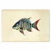 Gestreept - Donkerblauw - Rugvin - Vis Placemat vinyl groot -zzsfeer1_Kitchenyeah-website