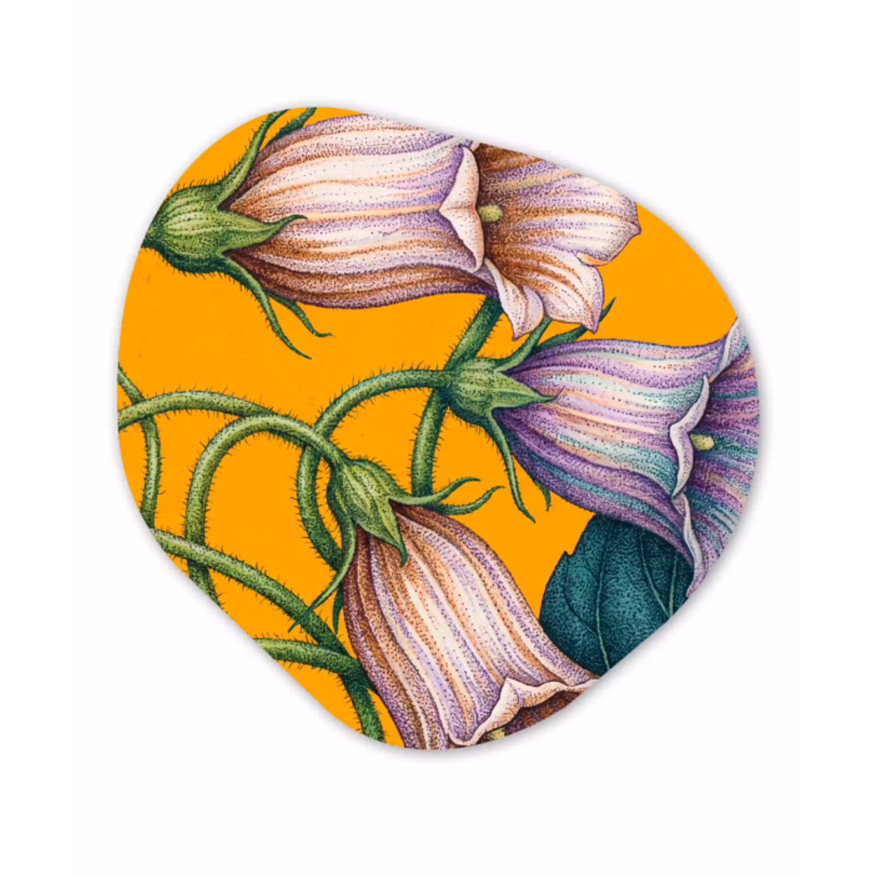 Bloemen - Botanisch - Geel Wandcirkel Organisch Forex 3mm klein -3d