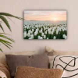 Tulpen - Landschap - Wit canvas 2cm klein -sfeer1