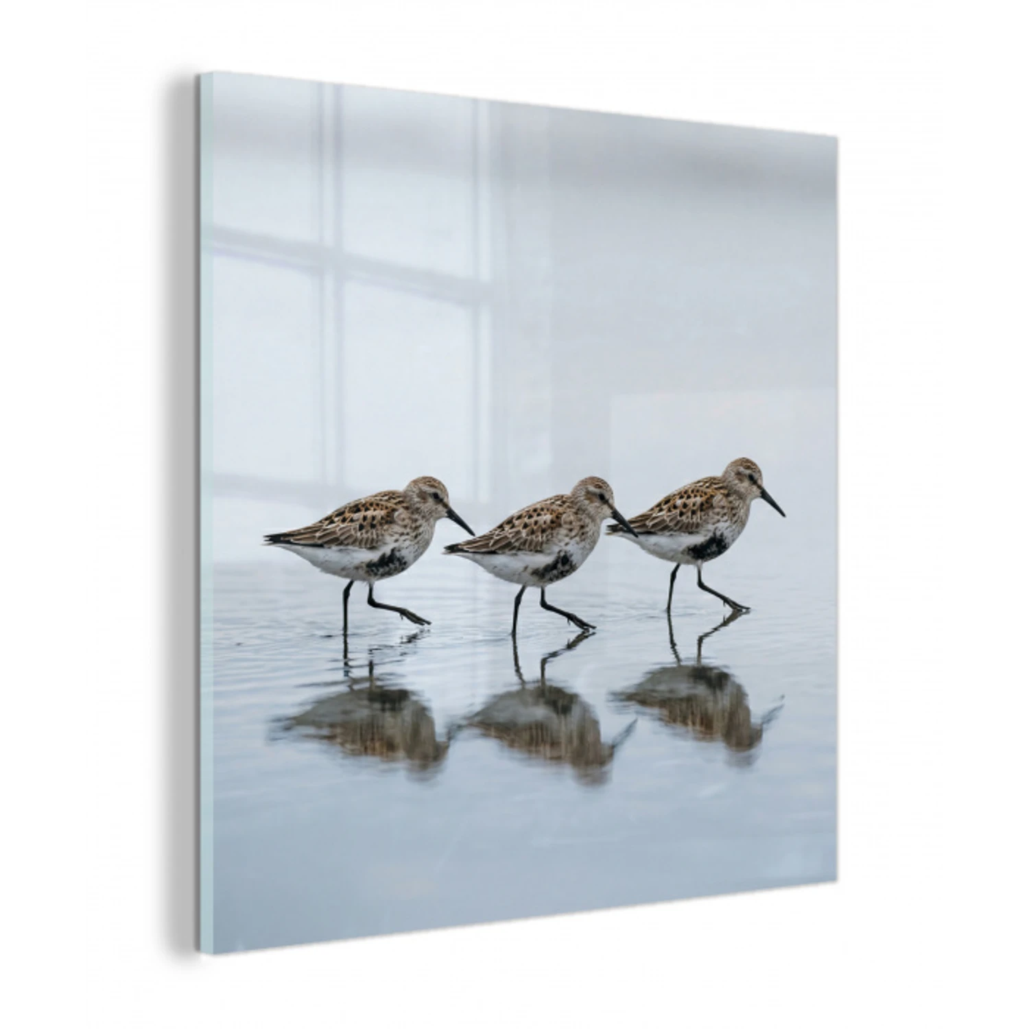 Vogels - Water - Grijs plexiglas 5mm klein -z3d