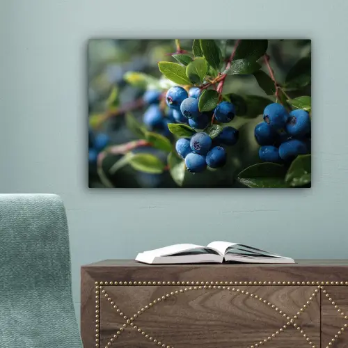 Blauwe bessen - Dauwdruppels - Natuurlijk licht canvas 2cm klein -sfeer4