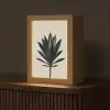 Agaveplant - Symmetrisch - Groen Light Box met kabel (Tafellamp) klein -z3d_website
