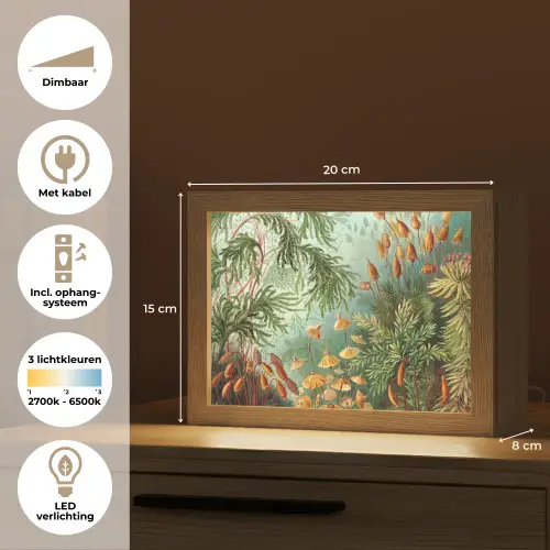 Oude meesters - Kunst - Muscinae - Haeckel Light Box met kabel (Tafellamp) klein -USP_NL