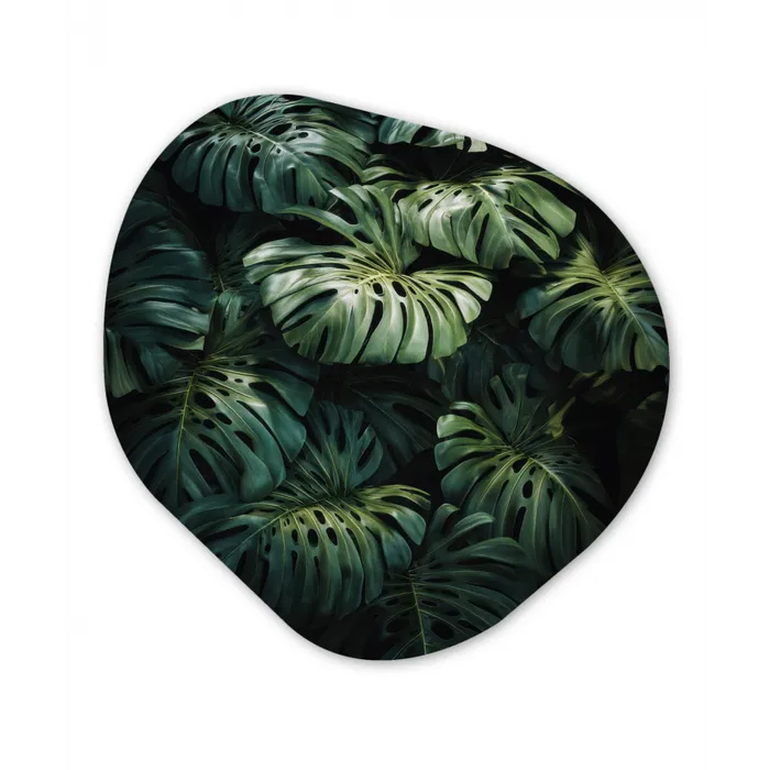 Plant - Monstera - Lichtinval Wandcirkel Organisch Plexiglas middel -3d