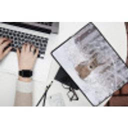 Hert - Sneeuw - Bos - Dieren - Vertederend laptophoes neopreen klein -bureau