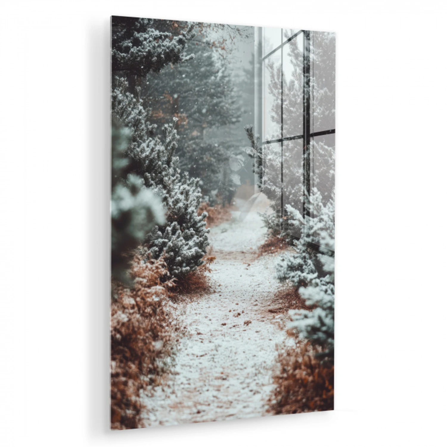Bos - Winter - Bomen - Natuur - Pad - Sneeuw plexiglas 5mm klein -zzzproduct_nieuw