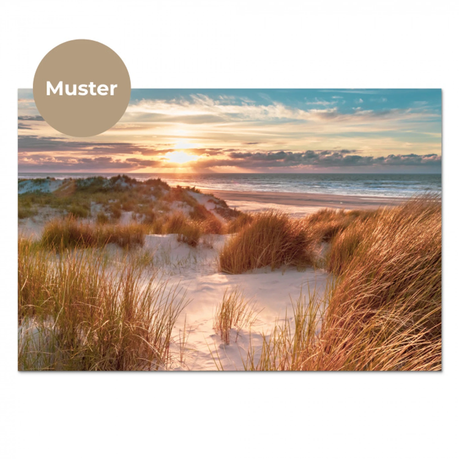 Duin - Planten - Zonsondergang - Strand - Zee keuken achterwand sample klein -3d_DE