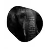 Olifant - Dier - Portret Wandcirkel Organisch Forex 3mm klein -3d