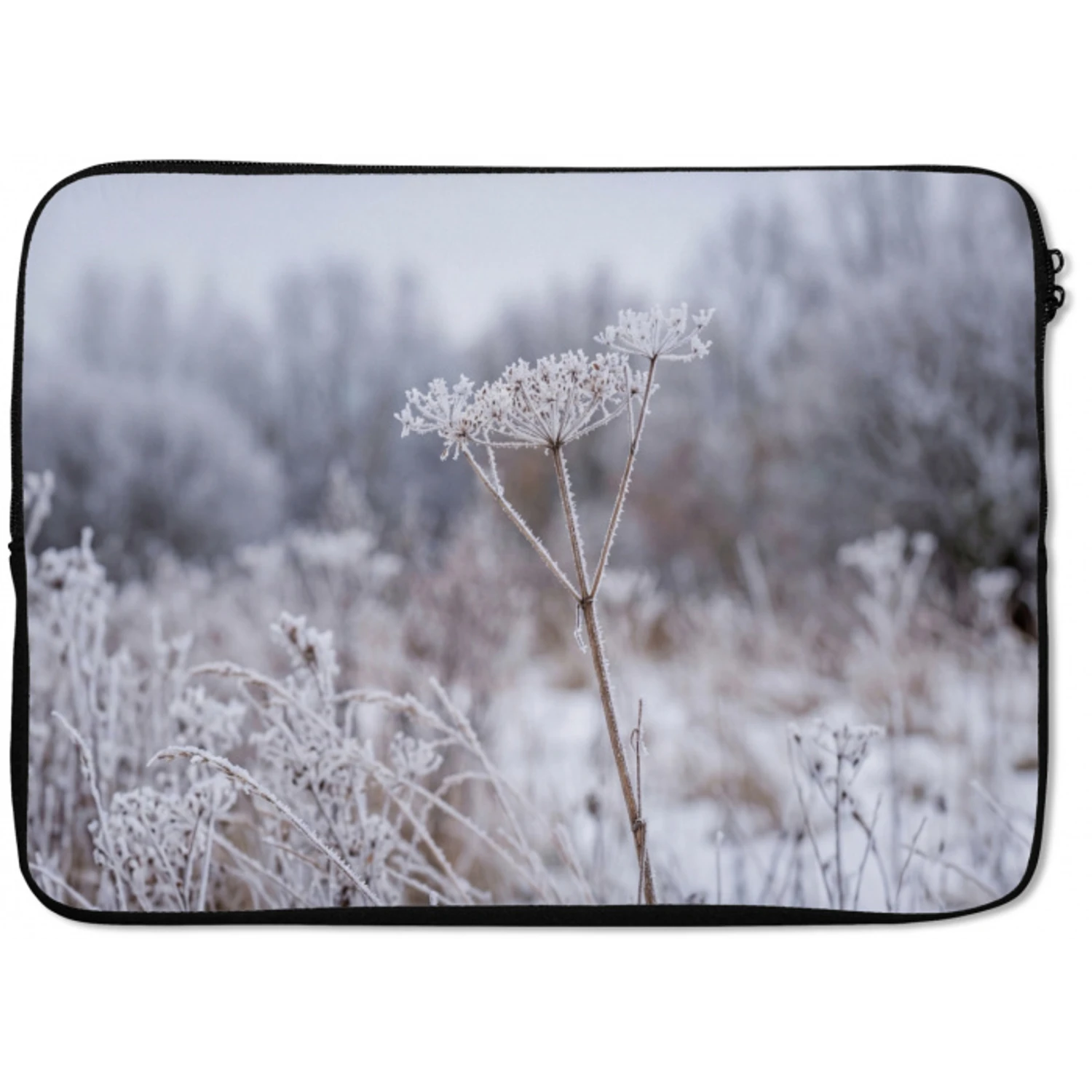Schermbloem - Rijp - Kristallen - Winter - Delicaat laptophoes neopreen klein -zkaufland3dotto