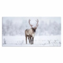 Rendier - Gewei - Toendra - Sneeuw - Wild Muismat XXL klein -3d_leeg