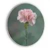 Anjer - Roze - Bloemblaadjes Akoestische PET Vilt - Rond klein -3d