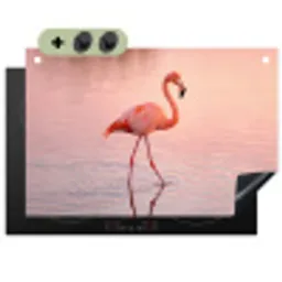 Flamingo - Water - Roze Inductie beschemer met haakjes klein -3d