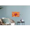 Dahlia - Bloem - Oranje Muursticker klein -plant