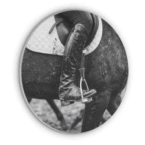 Paard - Sport - Zwart - Wit Akoestische PET Vilt - Rond klein -3d