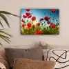 Klaprozen - Toscane - Zon - Rood - Blauw canvas 2cm klein -sfeer1