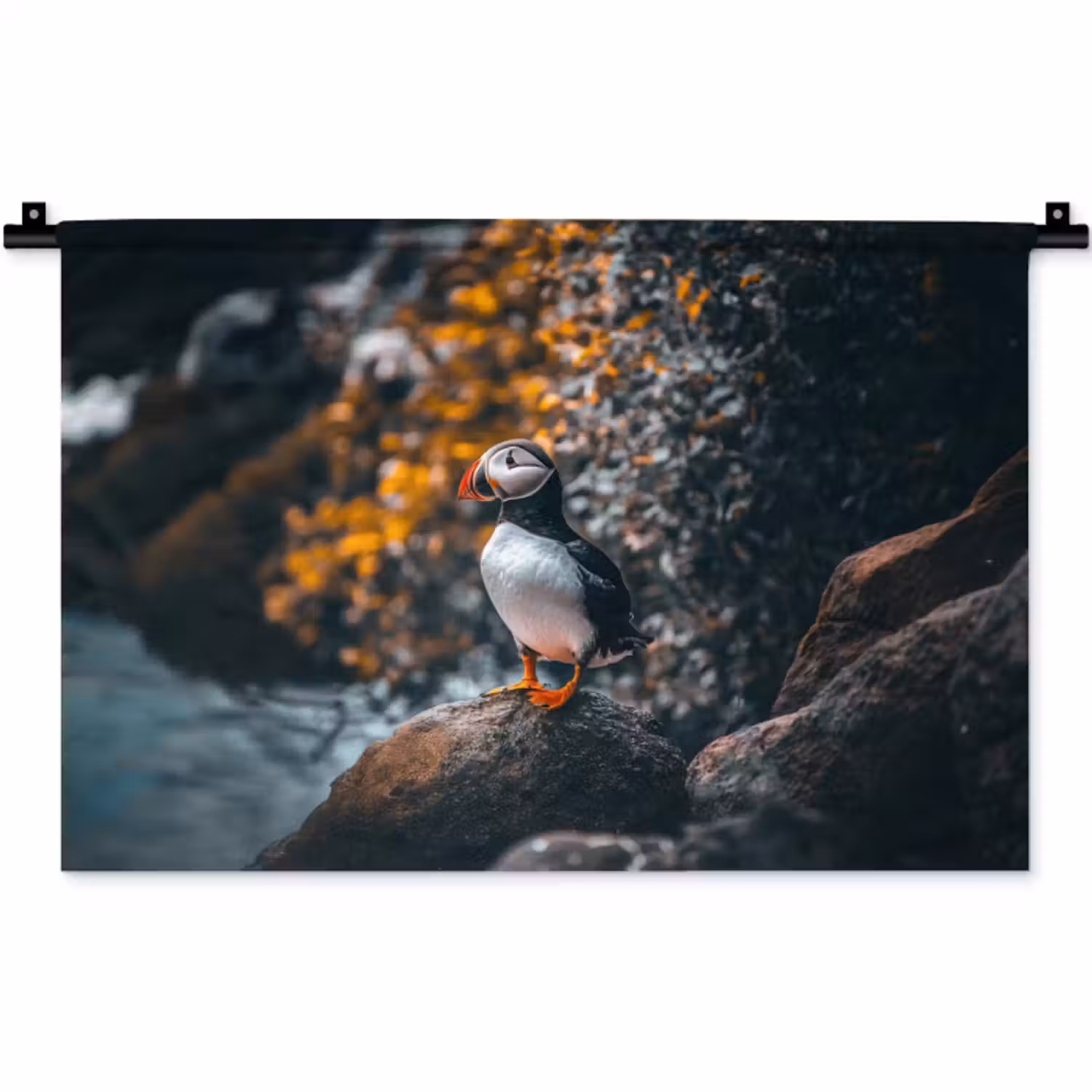 Wandkleed - Papegaai - Vogel - Rots - Wit